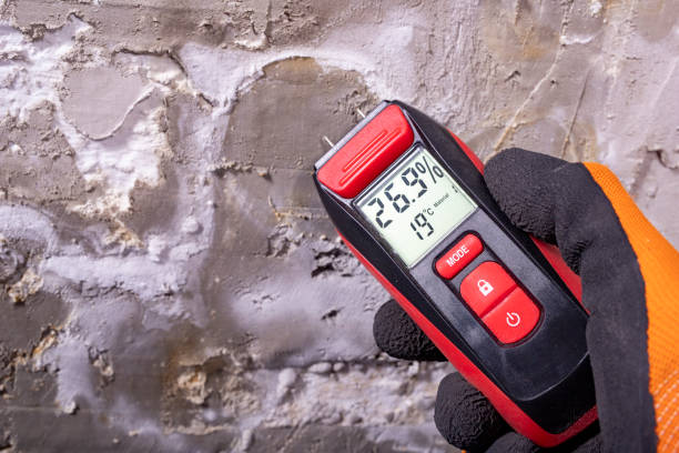  Raynham Center, MA Mold Removal Pros