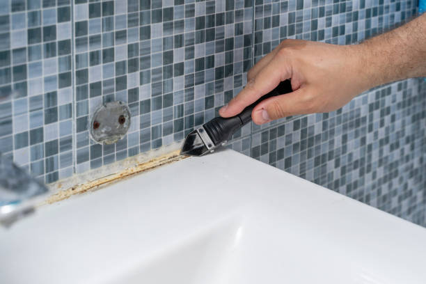 Mold Testing and Removal in Raynham Center, MA
